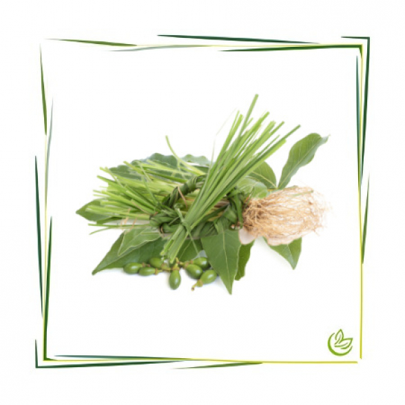 Parfümöl Laurel & Vetiver 20 ml